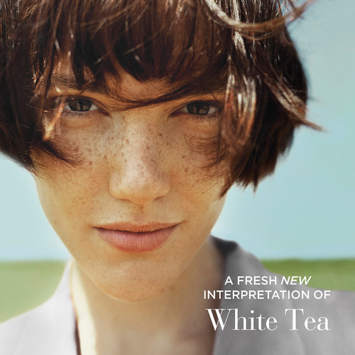 Perfume Elizabeth Arden Chá Branco Eau Fraiche 100ml