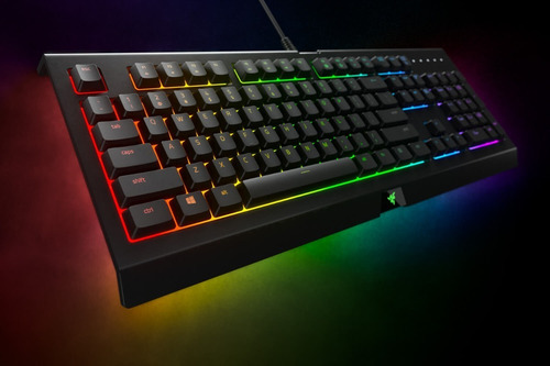 Imagen 2 de 6 de Teclado Razer Cynosa Lite Essential Gaming Rz03-02741600