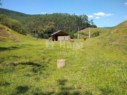 Imagem 16 de 16 de Terreno À Venda No Bairro Salto Águas Negras - Botuverá/sc - 2200t