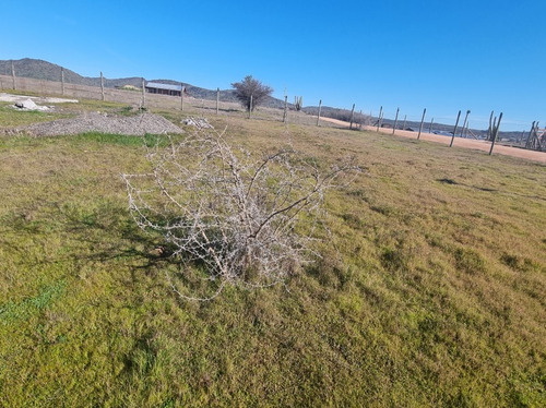 Vendo Parcela Con Agua Y Radier De 160 Mtrs2 En Marchigue