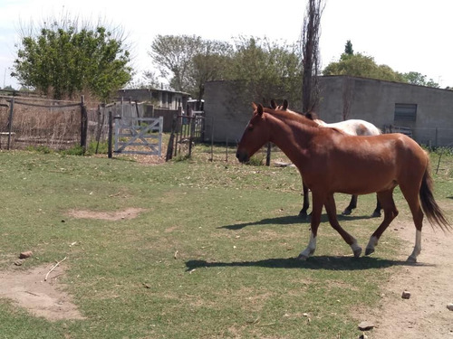 Se Vende Campo Mixto 161 Ha En Los Molinos (córdoba), A Tranquera Cerrada.