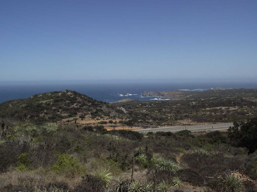 Oportundiad Venta Parcela,los Molles. (91383)