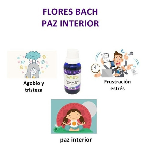 Flores Bach- Kit De 3 Frascos