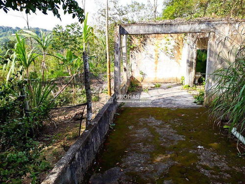 Imagem 21 de 30 de Chácara À Venda Em Miracatu/sp - Ch0218