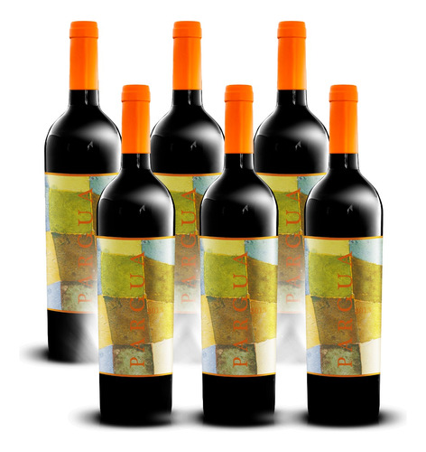 Vino Pargua Blend 750 Cl, 6 Botellas