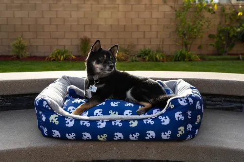 Cama Reversible Para Mascotas, Azul, Tamaño Grande Ancla