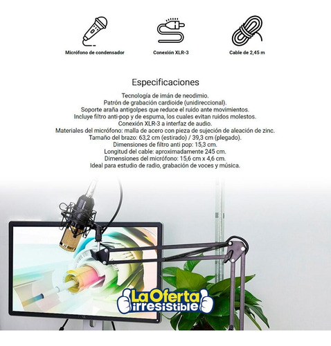 Imagen 5 de 5 de Micrófono De Condensador Brazo Articulado Filtro Antipop Loi