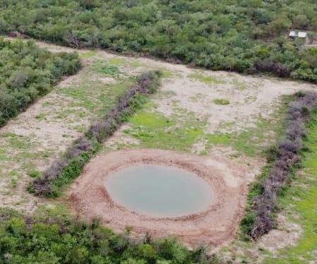 Campo En  6000 Has Nueva Esperanza Departamento Pellefrini Santiago Del Estero