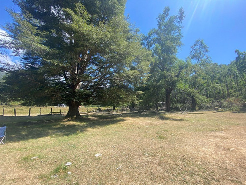 Parcela En Venta De 1 Hectarea Con Dos Casas Nuevas