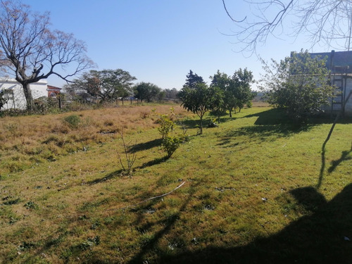 Imagen 8 de 12 de Chacra 1.5 Hectarea En Venta - 75 Metros De Frente A La Ruta 102 Km 38.500