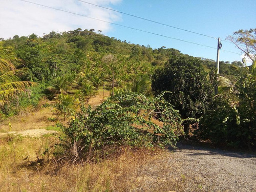 Imagem 3 de 27 de Chácara Em Centro, Cabo De Santo Agostinho/pe De 25073m² 3 Quartos À Venda Por R$ 750.000,00 - Ch149398-s