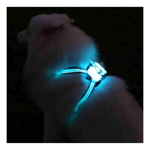 Cc Simon Safe Led Dog Arness | 15 Modos Y Brillo Patentado | Multicolor.