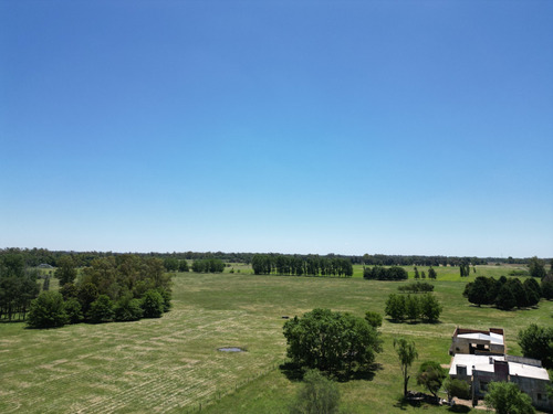 Campo En Pilar