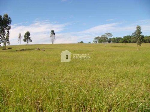 Imagem 3 de 8 de Terreno, Dona Catarina, São Roque - R$ 21.2 Mi, Cod: 4118 - V4118