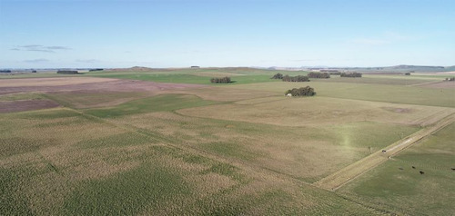Imagen 26 de 28 de Campo 39 Has. Agrícolas Con Mejoras - Zona Dos Naciones