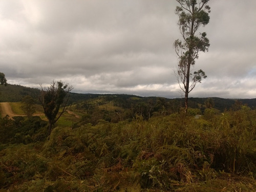 Imagem 8 de 12 de Chácara 1000 Mts Em Ibiúna