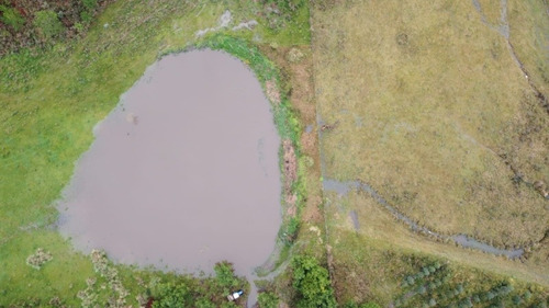 Arriendo 170has Forestal /agricola Migues. Us$ 13.000/año