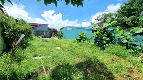 Imagen 4 de 4 de Lote Orotina Maracaibo
