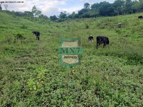 Imagem 13 de 15 de Fazenda Para Venda Em Ubaitaba, Zona Rural - 678_1-1569332