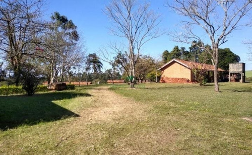 Imagem 6 de 29 de Fazenda 155 Alqueires, Terra Fértil, Rica Em Água Com Rio, 120 Alqueires Para Lavoura, 20 Alqueires Em Eucalipto, Casa Sede, Casa Caseiro, Curral - Fa00262 - 70837159