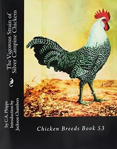 Libro The Vigorous Strain Of Silver Campine Chickens-inglés