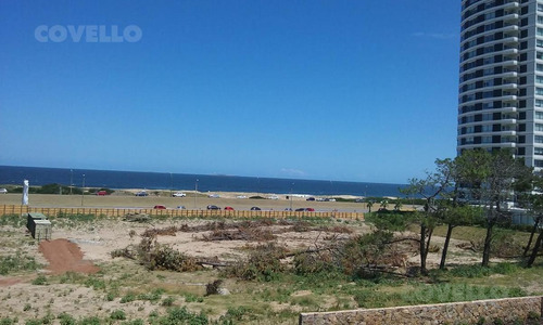 Imagen 7 de 30 de Appartment - Playa Brava