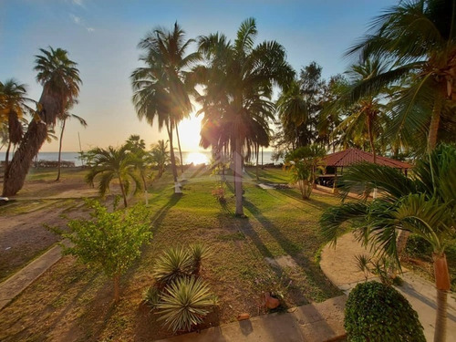 Imagen 15 de 17 de Apartamento En Venta En Lecheria Res. Árbol Para Vivir