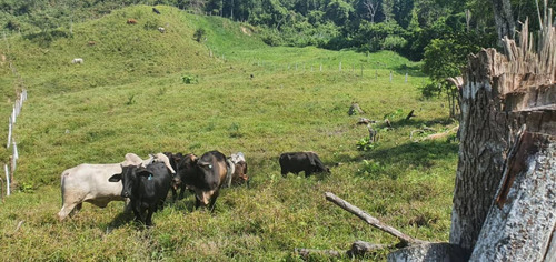 Em. Se Vende Hermosa Finca Vía Santa Ana 