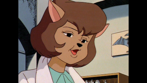 Swat Kats The Radical Squadron Serie Animada Hanna Barbera