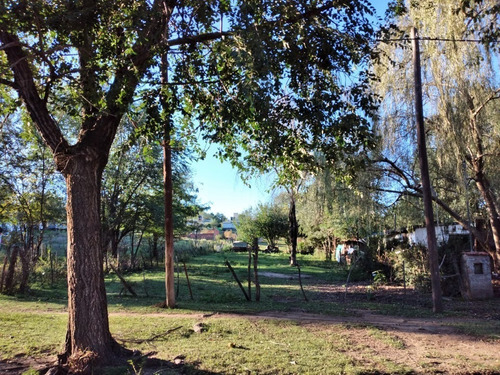 Imagen 3 de 3 de Terreno 500m2 En Calle P. Frascaroli