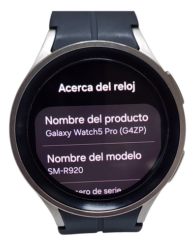 Smartwatch Samsung Galaxy Watch 5 Pro 45mm Negro Mesh Gris Oscuro Plateado (Usado)