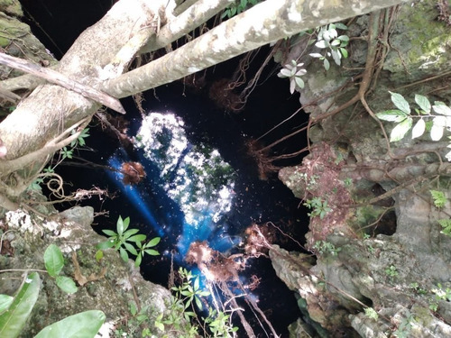 Terreno Con Hermoso Cenote Ubicado En La Localidad Sisbichen