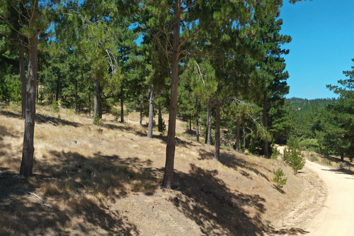 Excelente Terreno En Boyeruca