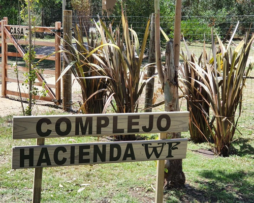 Imagen 12 de 14 de Complejo Hacienda Wf - Casa 1 - Santa Monica - José Ignacio