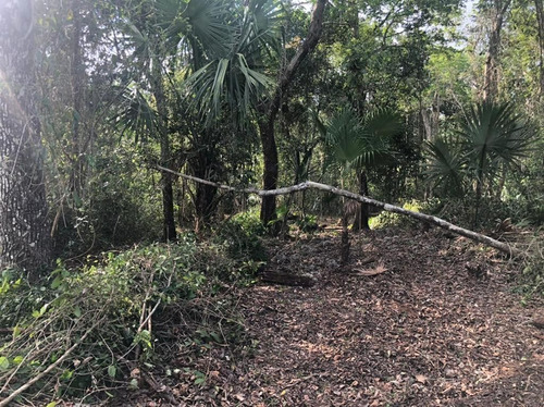 Lote En Venta En La Ruta De Los Cenotes. Qta. Roo.