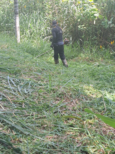 Vanserv Limpeza De Quintal E Lavagem De Caixa Dágua