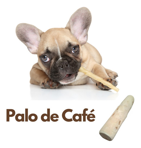 Palo De Café Para Perro Talla L - Unidad a $28000
