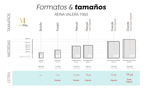 Santa Biblia Rvr1960 Letra G./pasta-dura Espada