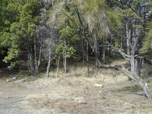 Terreno Con Costa De Lago Gutierrez, Playa Y Bosque, San Carlos De Bariloche - Ruta 40