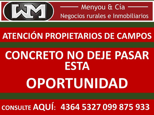 Imagen 8 de 13 de Venta Compra De Campos De 200has A 2500has Forestal Ganadero