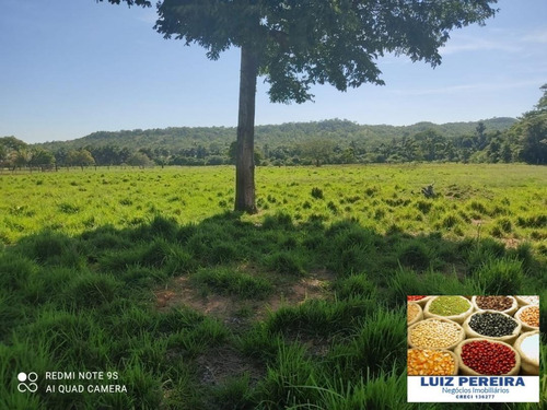 Fazenda À Venda Em Duere - To - De 60 Alqueirões (pecuária) - 1584