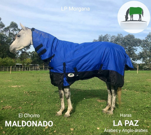 Imagen 6 de 10 de Manta Capa Caballo Importada (descuento Vta. Directa)