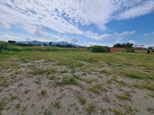 Imagen 8 de 10 de Terreno En Urb Monteserino. Lemt-098