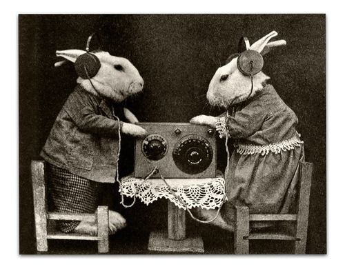 Bizarre Strange Bunnies Escuchando Radio Con Auriculares, I.