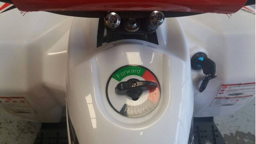 Imagen 8 de 8 de Mini Cuatri Max Eléctrico Para Niños Pagani