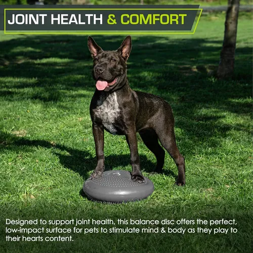 Disco De Balance Y Equilibrio Mini Bosu Erizo Pelota Yoga