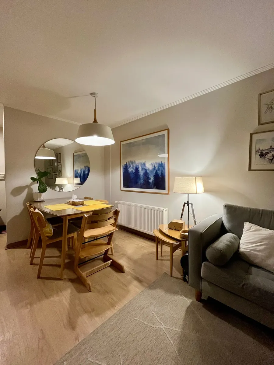 Imagen 3 de 25 de Venta Precioso Depto 3 D Providencia (173650)