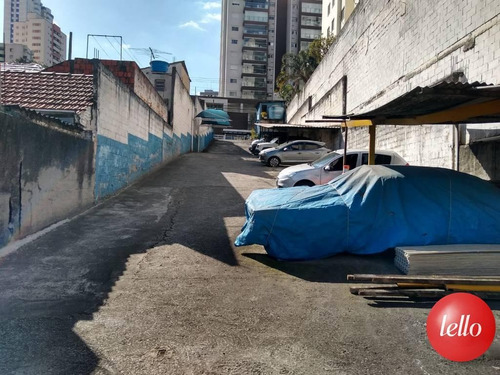 Imagem 7 de 9 de Terreno - Ref: 244562