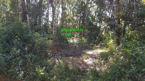 Imagem 3 de 19 de Juquitiba/terreno Com Mata E Nascente. - 05000 - 68089597