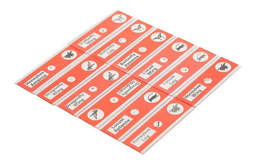 Juego De Portaobjetos De Plástico Para Microscopio, 48 Pieza